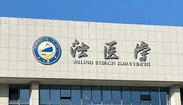 如何有效利用技术咨询提升方案设计质量？